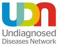 UDN_Logo